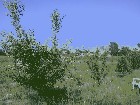������!!! ������ 6 ����� � ����� � ������� �� ������� ����,���������� �����,����